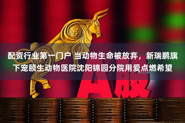 配资行业第一门户 当动物生命被放弃，新瑞鹏旗下宠颐生动物医院沈阳锦园分院用爱点燃希望